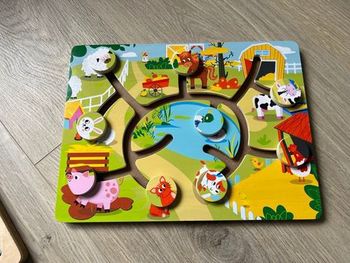 Jeu de manipulation en bois 