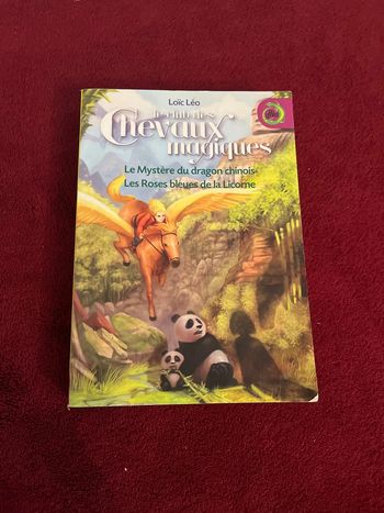 Livre fantastique Le club des chevaux magiques