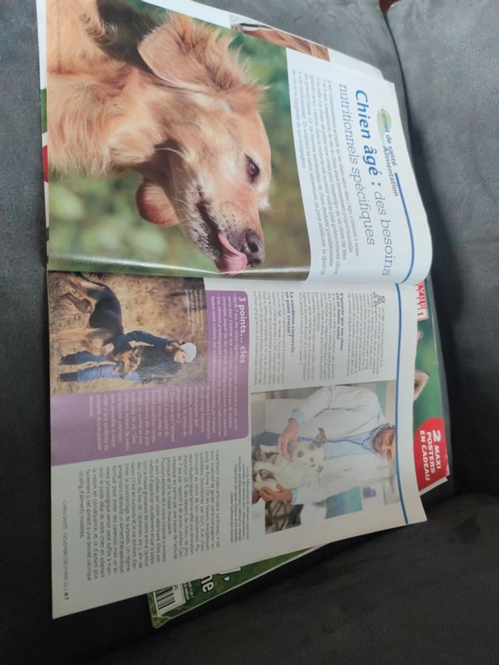 Magazine spécial husky de Sibérie revue chien 2000 - photo numéro 9