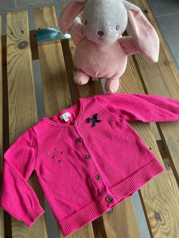 Gilet / pull