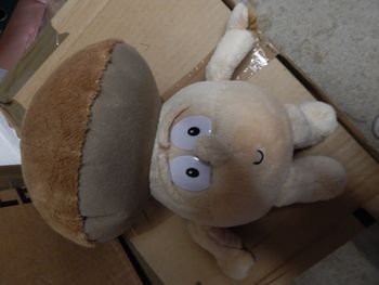 peluche champignon