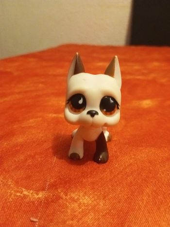 Lps pet shop n 750 chien danois