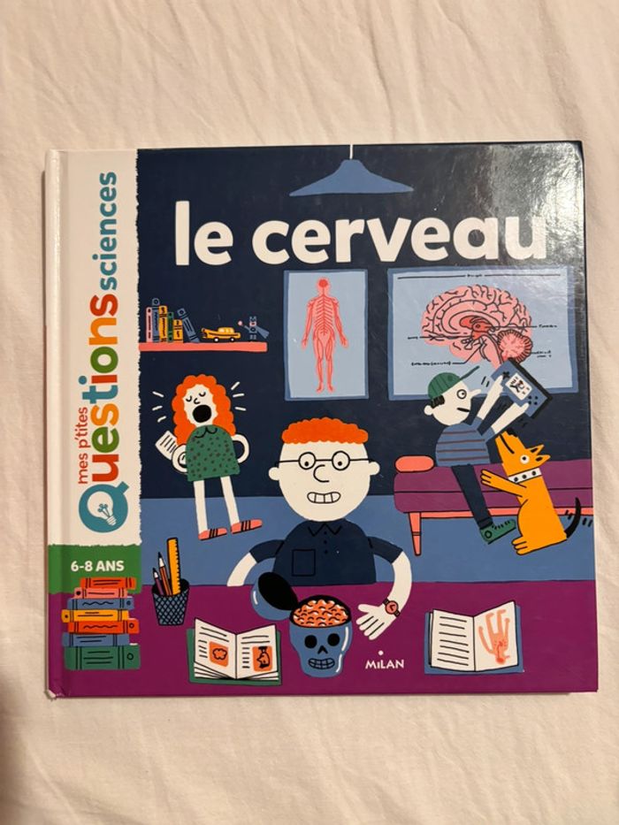 Livre Mes p’tites questions - Le cerveau