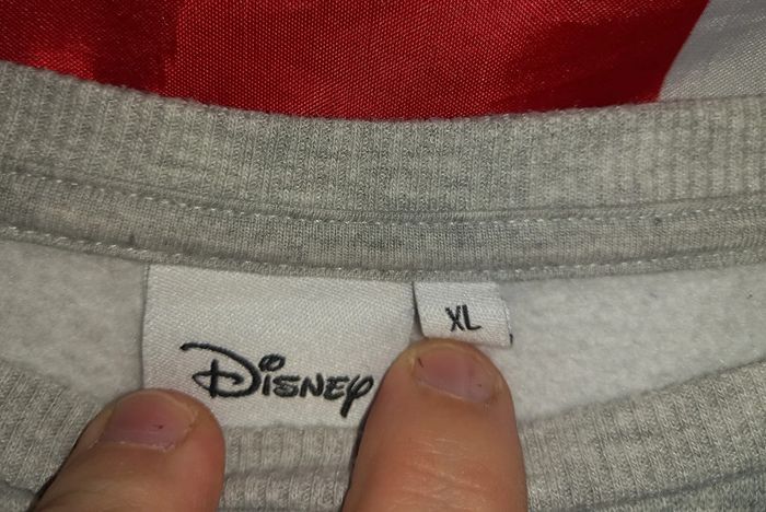 Sweat Disney - photo numéro 4