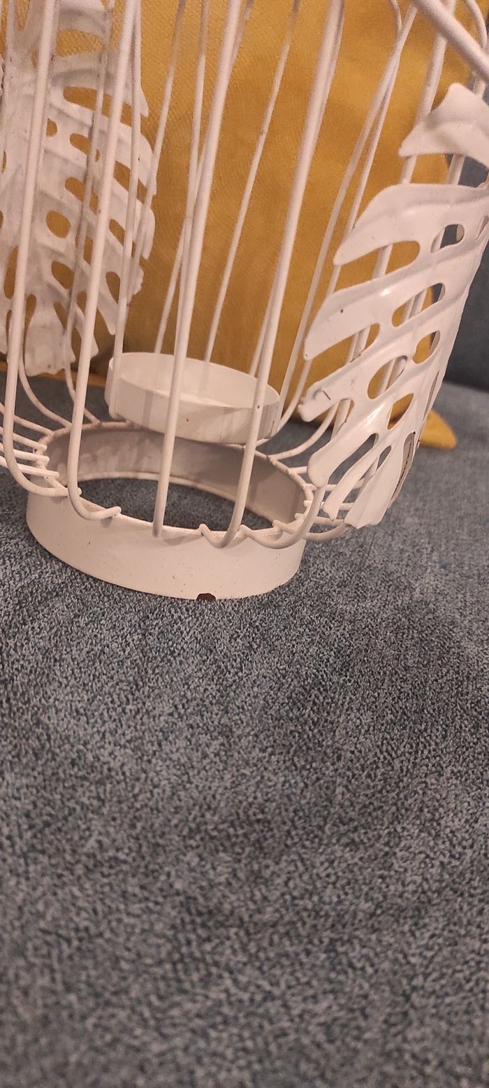 Photophore - photo numéro 5