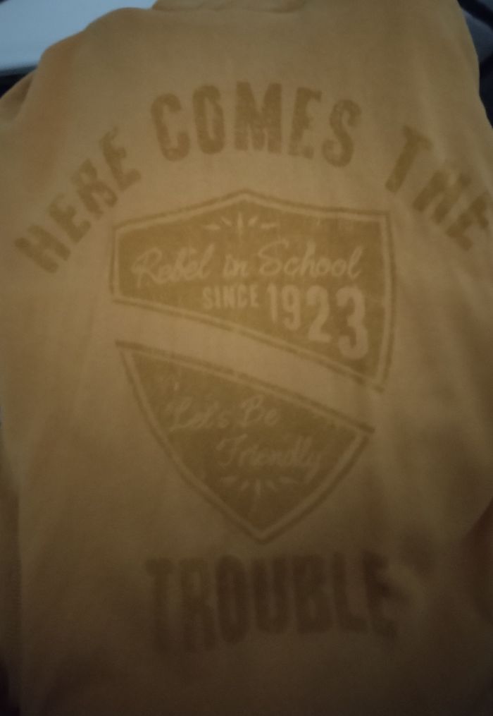 Sweat à capuche avec deux poches "Tape à l'œil" en très bon état - photo numéro 7