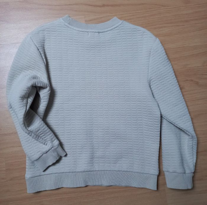 Pull dinosaure - photo numéro 3