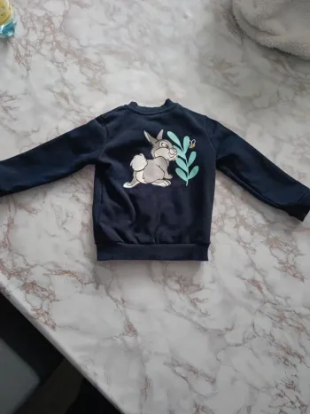 Veste Disney panpan
