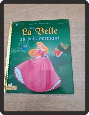 Livre la belle au bois dormant