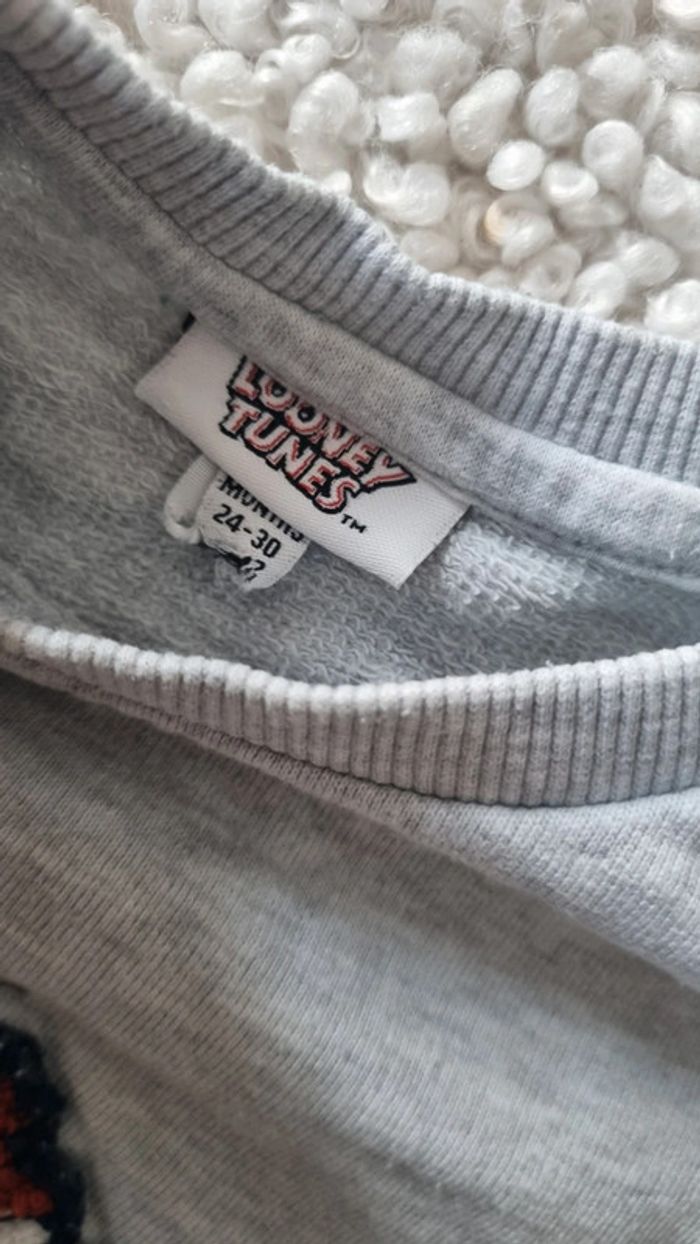 2 sweat Disney 24 - 30 mois 2 ans gris - photo numéro 3