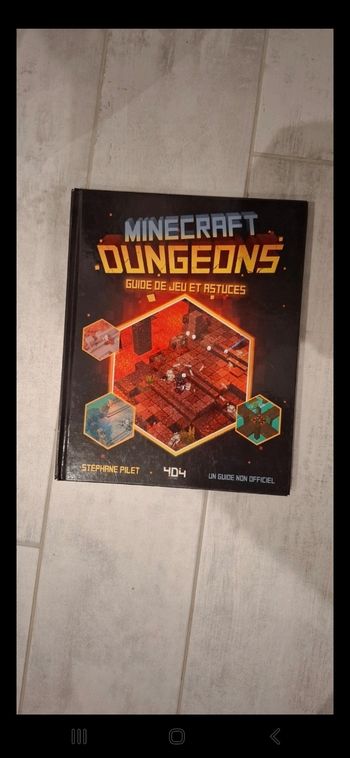 Livre minecraft