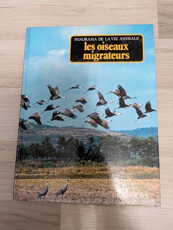Panorama vie animale les oiseaux migrateurs