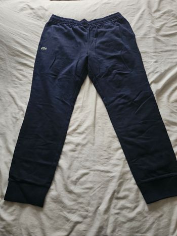Jogging xl lacoste