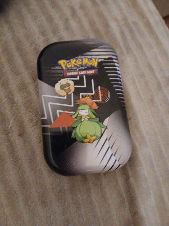 Boîte métallique pokemon