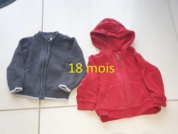 2 vestes a zip 18 mois