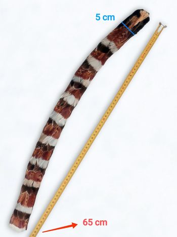 Ruban de plume naturel blanc marron noir 🇫🇷 Fabrication Artisanale