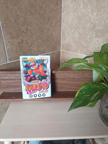 Manga Naruto
