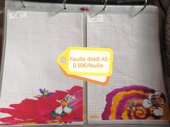 Lot(3) feuille diddl A5 à personnaliser