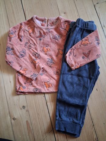 Pyjama simba