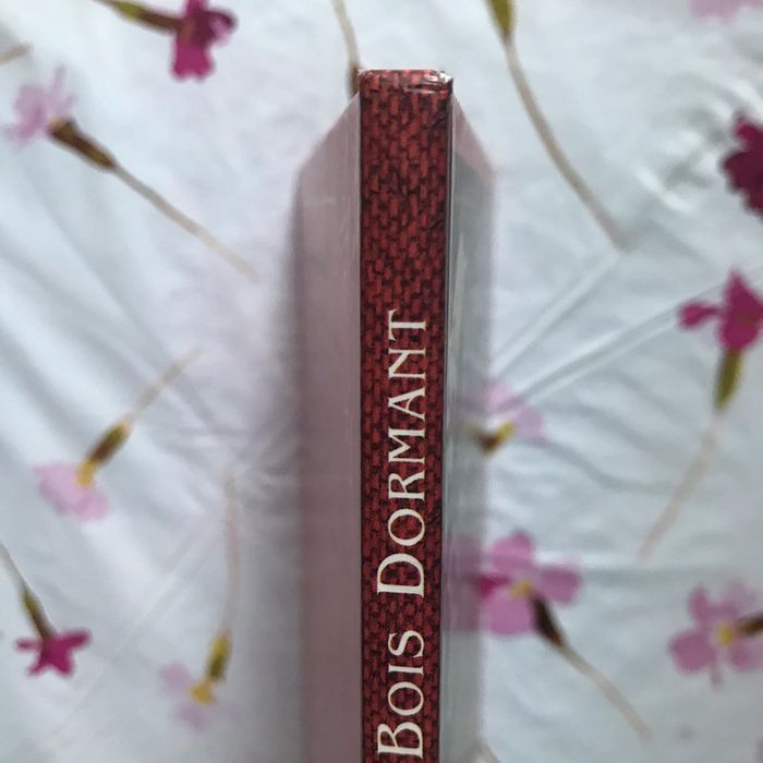 Livre « La belle au bois dormant » - photo numéro 2