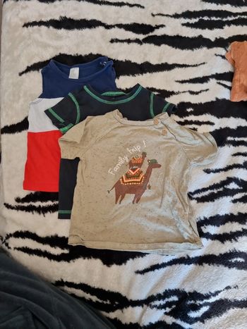 Lot trois t-shirt manches courtes