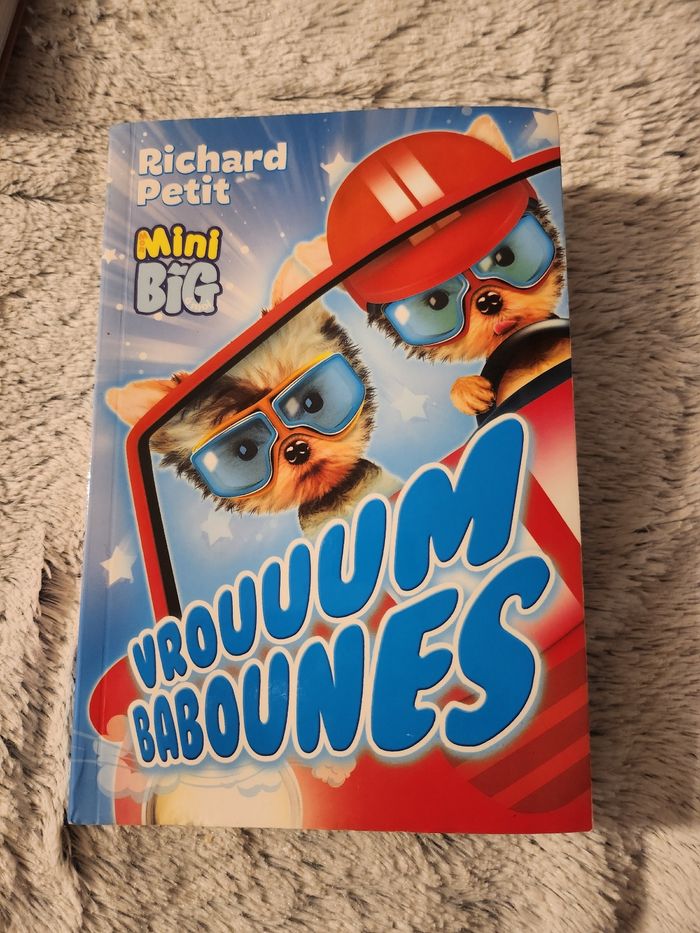 Livre jeunesse vrouuum babounes mini big Richard petit - photo numéro 1