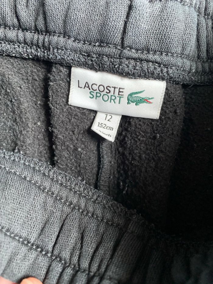 Pantalon survêtement Lacoste 12 ans - photo numéro 2