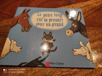 Petit livre sur l histoire d'un loup
