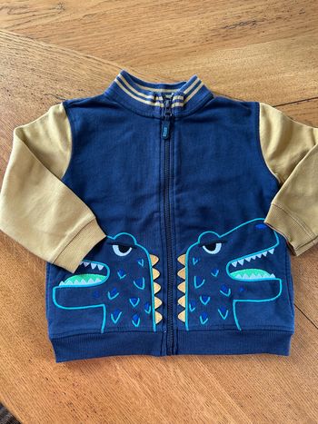 Veste
