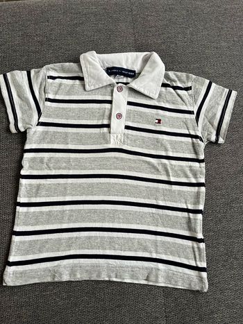 Polo tommy