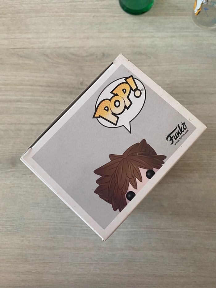 Pop 483 Sora kingdom hearts - photo numéro 5