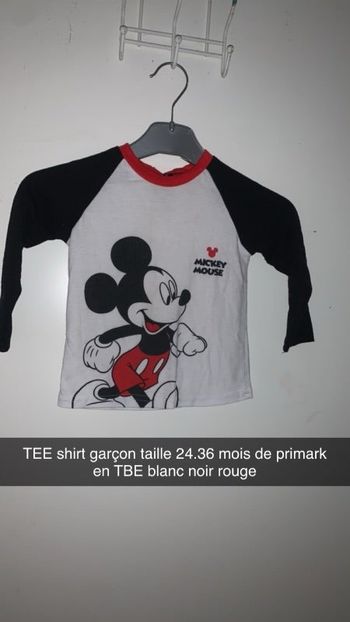 TEE shirt garçon taille 24.36 mois