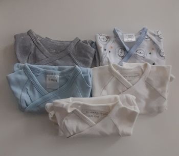 Bodies