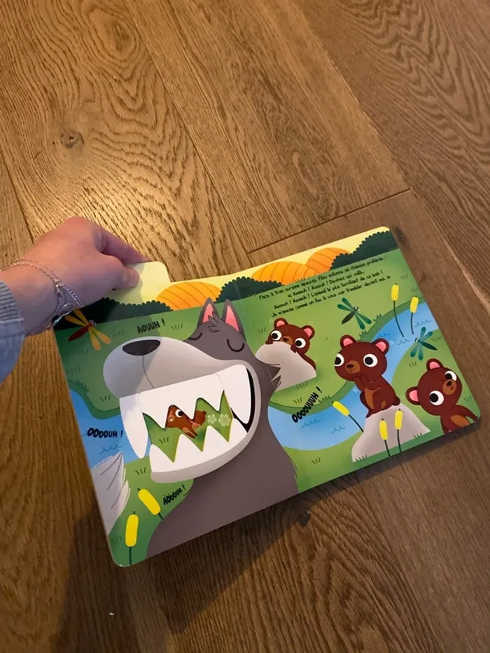 Livre - photo numéro 5