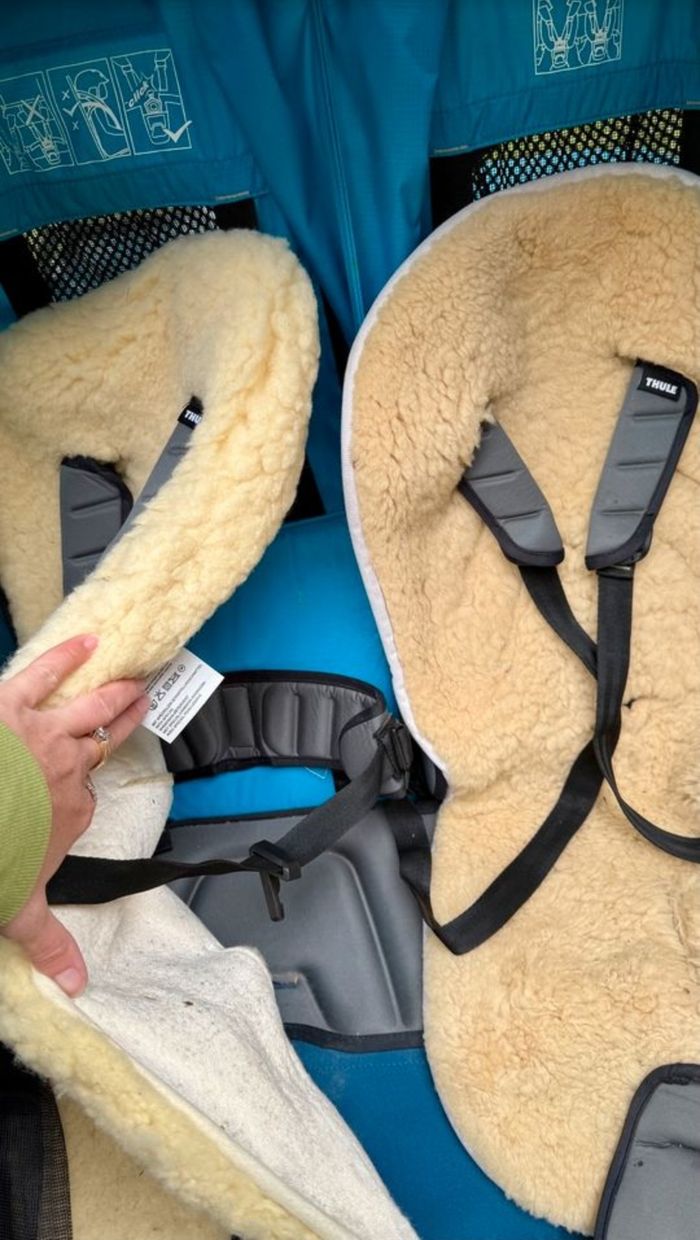 Thule chariot cross 2 - photo numéro 2