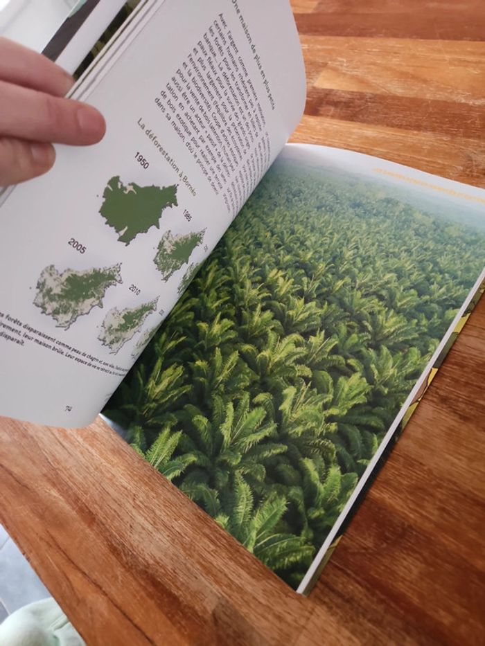 Livre : Découvre les grands singes avec.. - photo numéro 5
