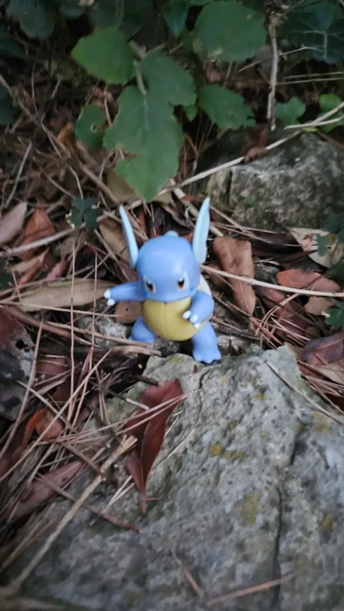 Super figurine Pokemon Nintendo Carabaffe