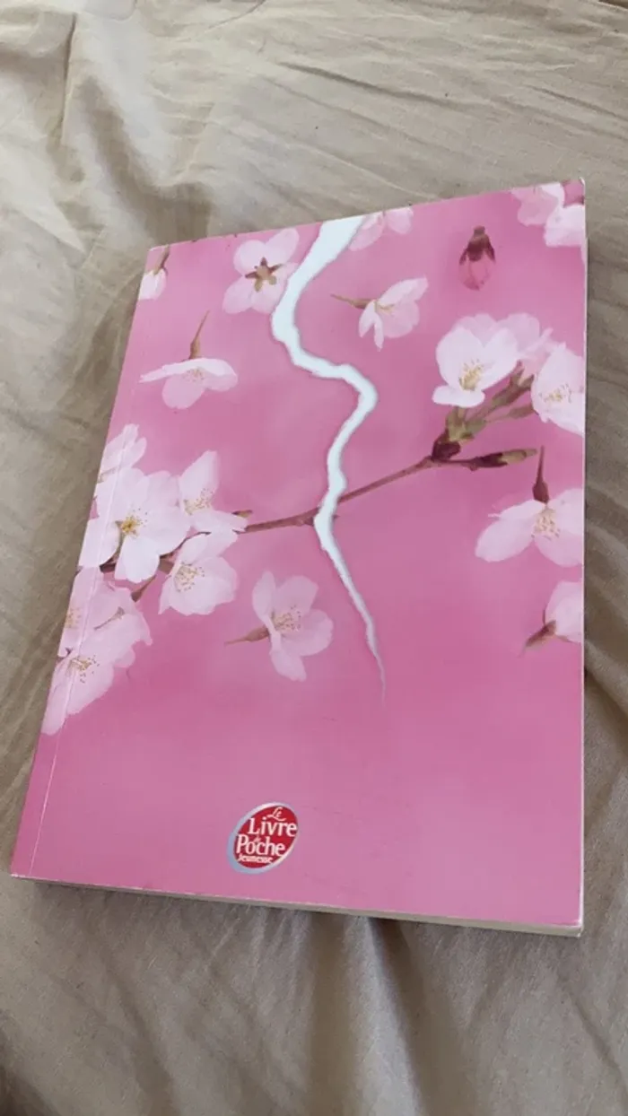 Journal d’une princesse tome 8 - photo numéro 2