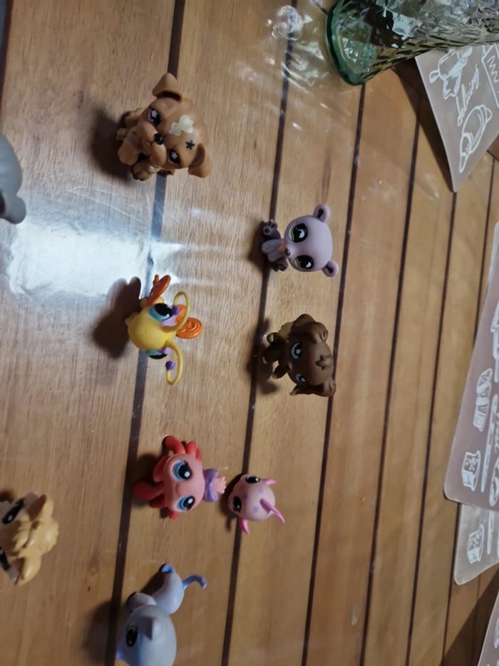 Lot petshop (7) - photo numéro 12