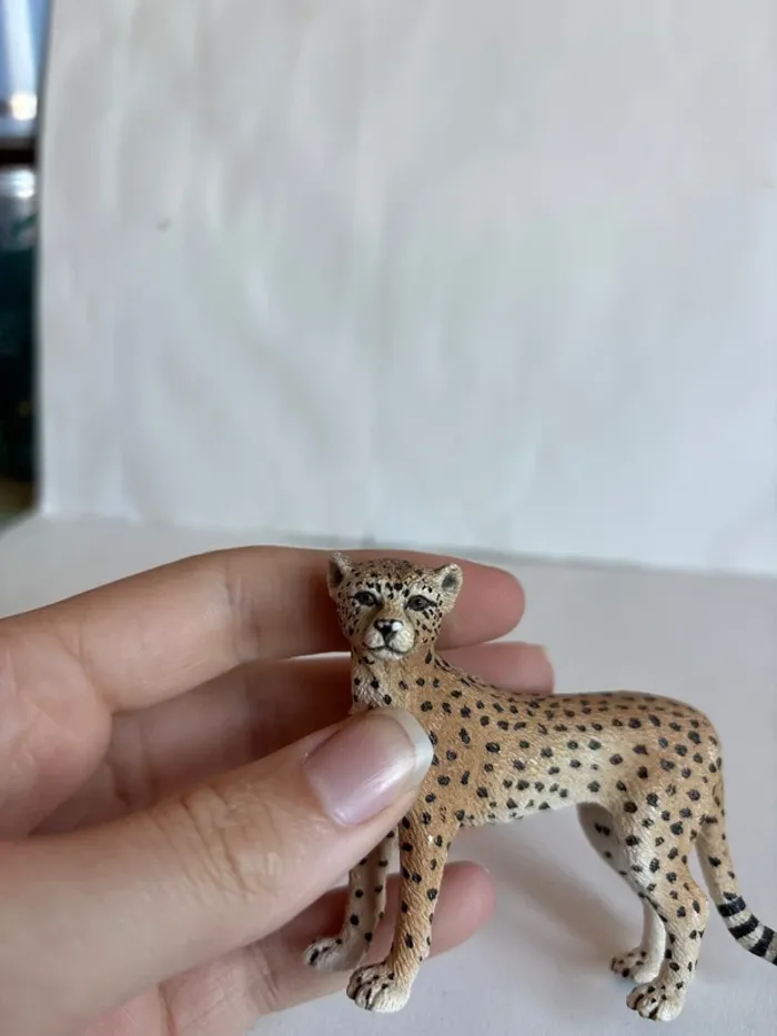 Guépard Schleich - photo numéro 3