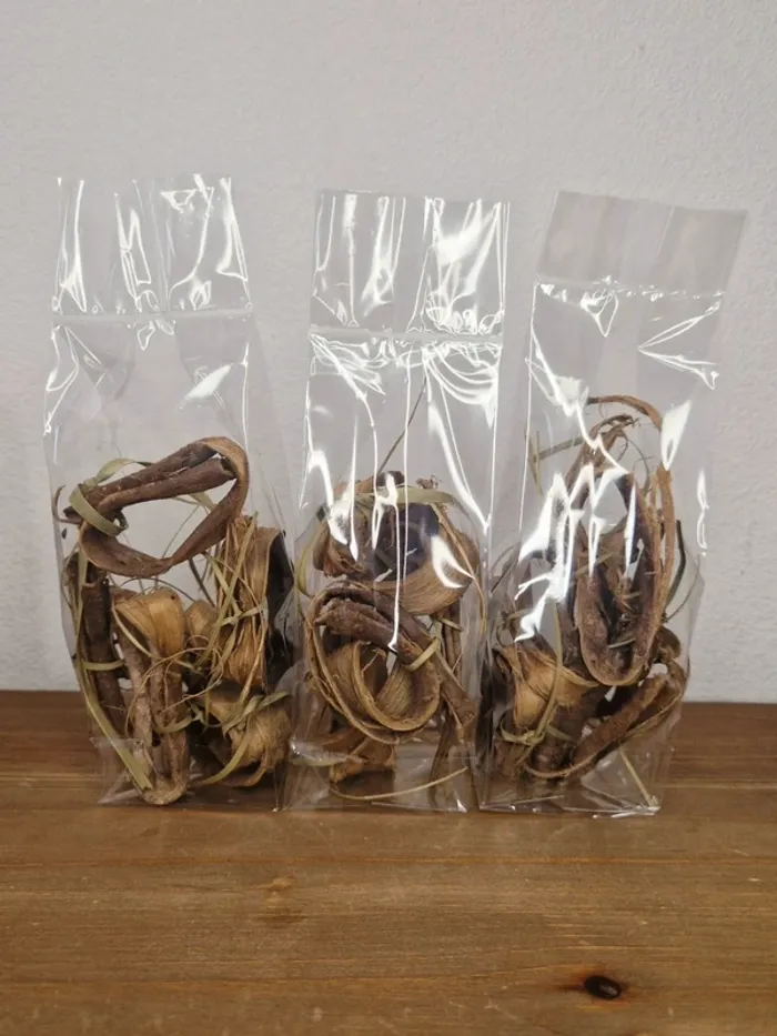 18 souak |  siwak |  dents blanches naturelles
