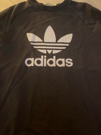 Pull adidas