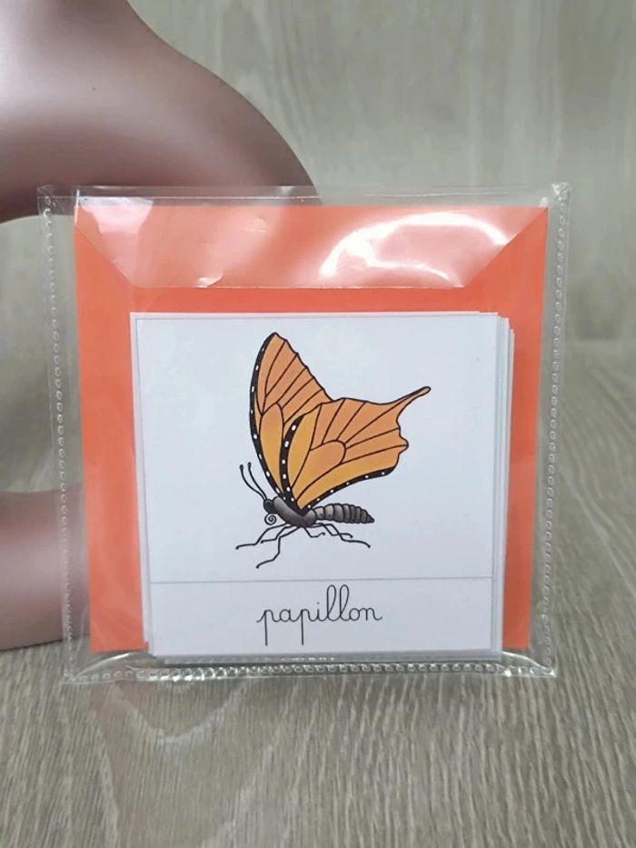 Cartes de nomenclature du papillon - photo numéro 4