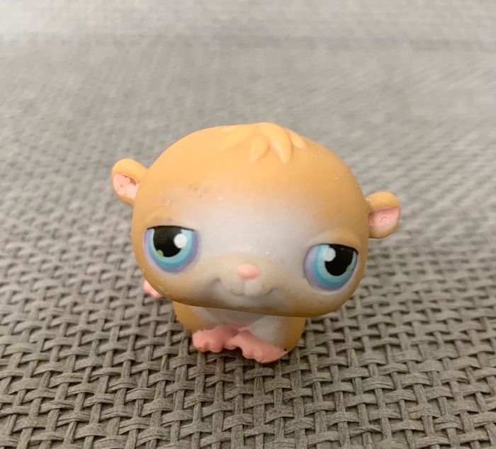 Petshop Cochon d’Inde - 2€ l’unité - photo numéro 7