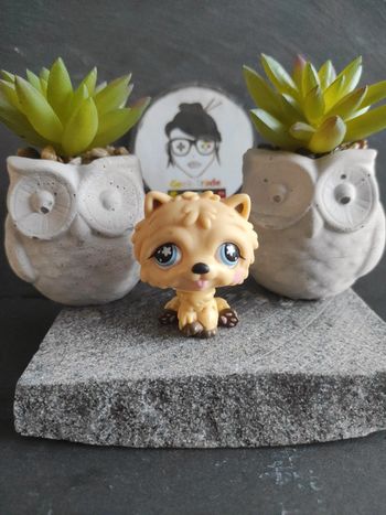 Littlest Petshop Pet Shop LPS chien chow chow hasbro 662 dog #geektradelpschien