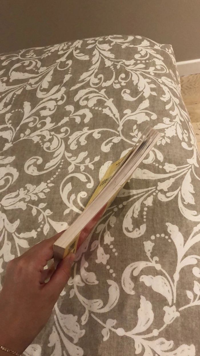 Livre chronique d’une recherche d’emploi exemplaire - photo numéro 6