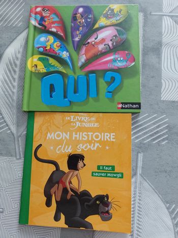 Lot de 2 petits livres