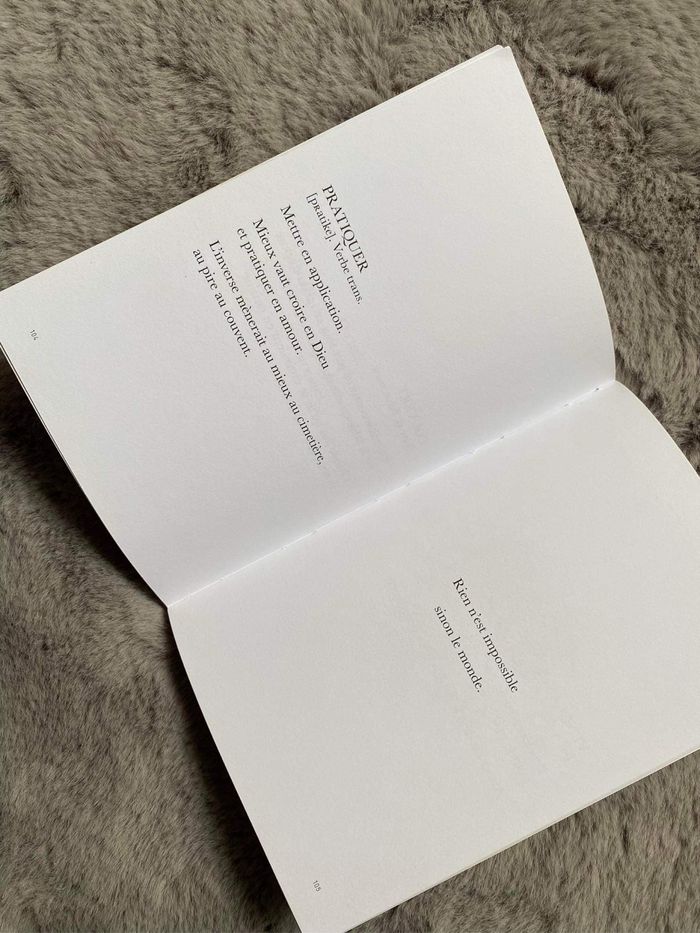 Dictionnaire optimiste - photo numéro 3