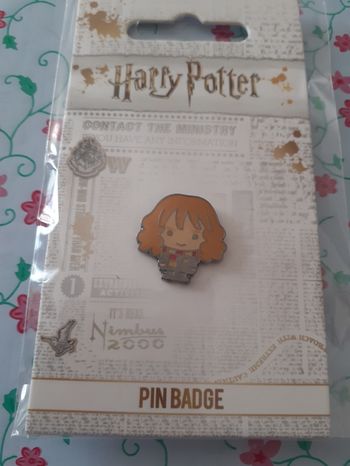 Pin's hermione Harry Potter