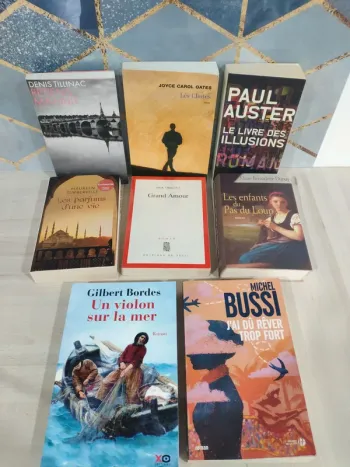 Lot 8 livres histoires d'amour romance passions Bussi Dupuy Auster Oates Bordes Orsenna Turberville